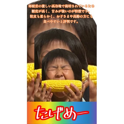 青森八甲田!　山のてっぺんとうもろこし　　12本セット【沖縄・離島配送不可】