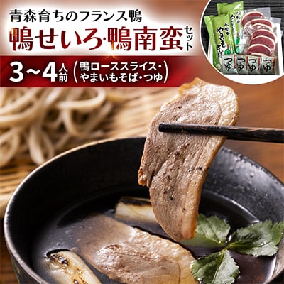 鴨せいろ・鴨南蛮セット(3～4人前)