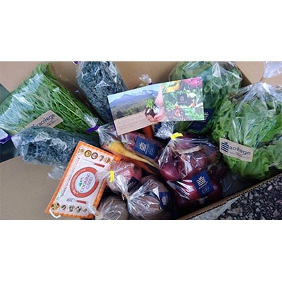 本州最北端のイタリア野菜!旬の西洋野菜詰め合わせ　約5kg(冷蔵)