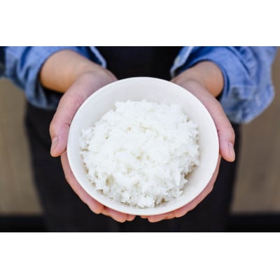 【五つ星お米マイスター厳選】青森県産　青天の霹靂　白米10kg