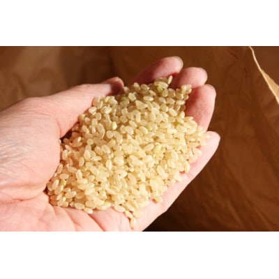 【毎月定期便】青森県産 まっしぐら 白米 10kg【青森米】全6回