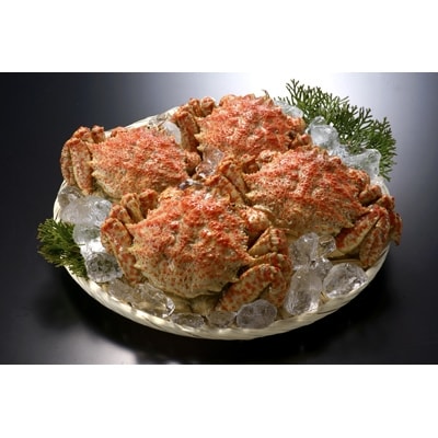 【厳選逸品】青森産 丸勝水産のトゲクリガニ(450g前後×4杯)