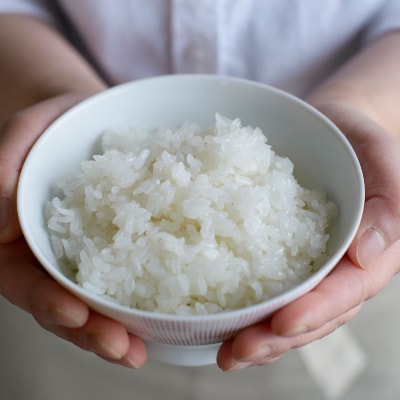 青森県産　まっしぐら　白米10kg