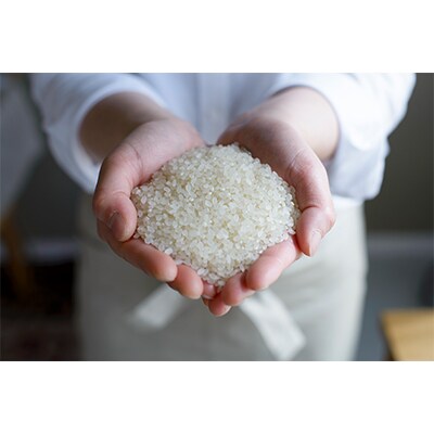 【毎月定期便】青森県産 青天の霹靂 白米5kg 全3回