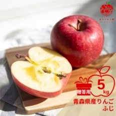 りんご ふじ 約5kg (14～20玉) 青森県産 贈答用【先行受付12月より順次発送】