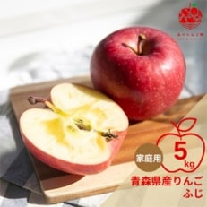 【先行受付 12月発送】青森県産りんご　ふじ　約5kg(14～20玉)　家庭用_A-839