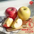 りんご ふじ&王林 約5kg (14～20玉) 家庭用 【先行受付 12月より順次発送】