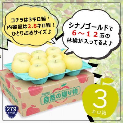 りんご シナノゴールド 4月から順次発送 A品 2.8kg (6～12玉)CA貯蔵 津軽産直組合直送