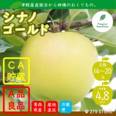 りんご シナノゴールド 4月から順次発送 A品 4.8kg (14～20玉)CA貯蔵 産直組合直送