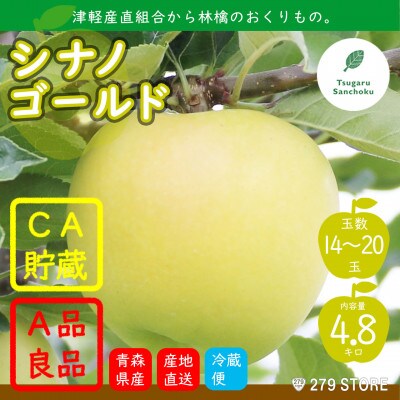 りんご シナノゴールド 4月から順次発送 A品 4.8kg (14～20玉)CA貯蔵 産直組合直送