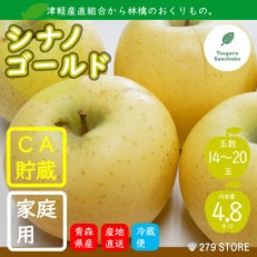 りんご シナノゴールド 4月から順次発送 家庭用 4.8kg (14～20玉)CA貯蔵 産直組合直送