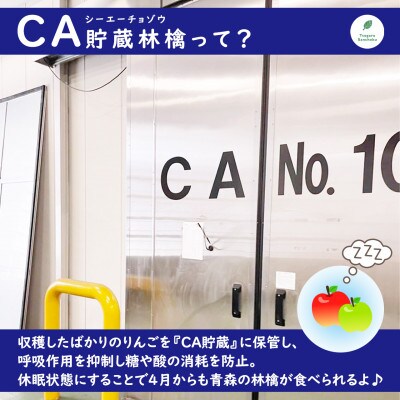 りんご シナノゴールド 4月から順次発送 家庭用 4.8kg (14～20玉)CA貯蔵 産直組合直送