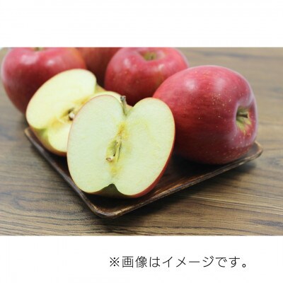 【10月下旬より発送開始】産地直送 青森県産シナノスイート 5キロ箱 10～23玉 青森県産りんご