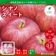 10月中旬頃発送 シナノスイート 家庭用 10キロ箱 9.8kg 28～40玉 津軽りんご 産地直送