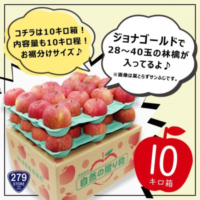 2022年産 家庭用 ジョナゴールド 10キロ(28~40玉)津軽産直組合の青森県産林檎