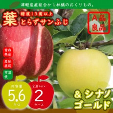 りんご 葉とらずサンふじ&amp;シナノゴールド 2品種おまとめ直送♪A品 糖度13度以上 計5.6kg 