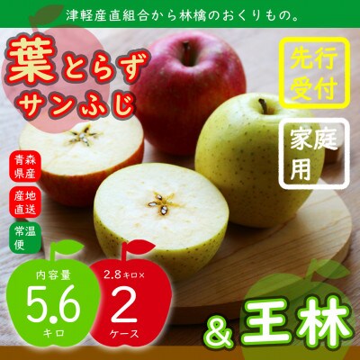 2品種おまとめ直送♪家庭用 葉とらずサンふじ&王林 計5.6キロ 津軽産直組合の青森県産林檎