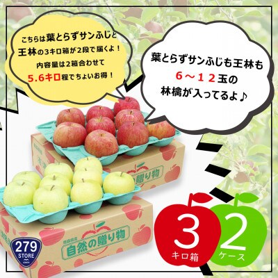 2品種おまとめ直送♪家庭用 葉とらずサンふじ&王林 計5.6キロ 津軽産直組合の青森県産林檎