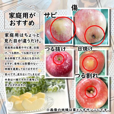 りんご 葉とらずサンふじ&シナノゴールド 2品種おまとめ直送♪家庭用 糖度13度以上 計5.6kg 