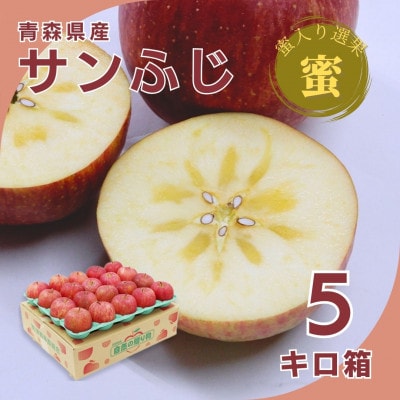 糖度光センサー選果 蜜入りサンふじ5キロ箱10～23玉【11月下旬より発送】産地直送 青森県産りんご