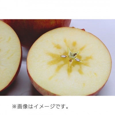 糖度光センサー選果 蜜入りサンふじ5キロ箱10～23玉【11月下旬より発送】産地直送 青森県産りんご