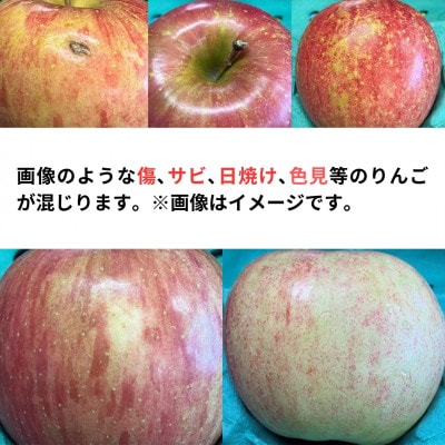 糖度光センサー選果 蜜入りサンふじ5キロ箱10～23玉【11月下旬より発送】産地直送 青森県産りんご