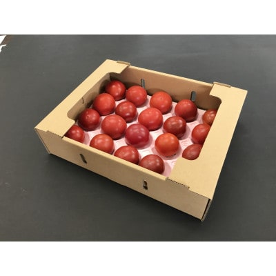 栽培期間化学肥料・農薬不使用　高糖度トマト「愛香」約1.6kg【7月下旬より発送】