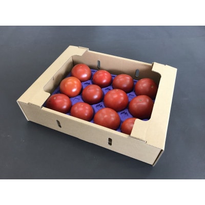 栽培期間化学肥料・農薬不使用　高糖度トマト「愛香」約1.6kg【7月下旬より発送】
