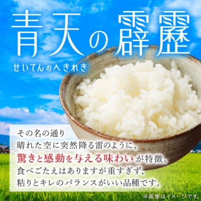 【令和6年産】青森県産　青天の霹靂5kg(精米)
