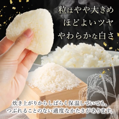 【令和6年産】青森県産　青天の霹靂5kg(精米)