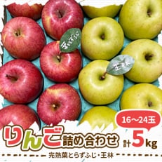 【2024年先行受付】りんご 完熟葉とらずふじ・王林詰め合わせ 5kg (16～24玉)