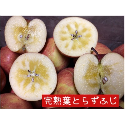 【2024年先行受付】りんご 完熟葉とらずふじ・王林詰め合わせ 5kg (16～24玉)