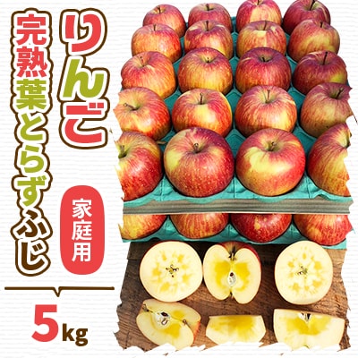 【2024年先行受付】りんご 完熟葉とらずふじ 5kg (家庭用)