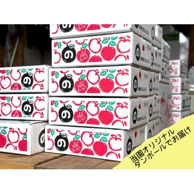 先行受付【青森市産・ぐんま名月】約3kg(家庭用)