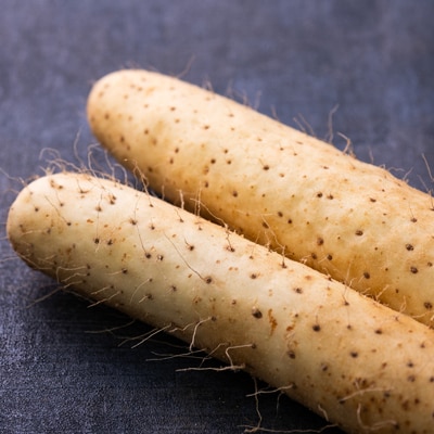 青森県産「ながいも」約3kg(L～2Lサイズ)×4本入り)