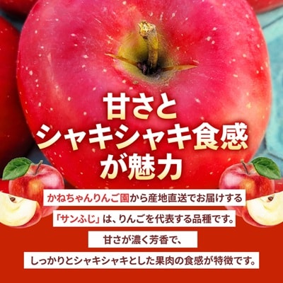 【訳あり】青森県産りんご「サンふじ家庭用」約5kg　産地直送!