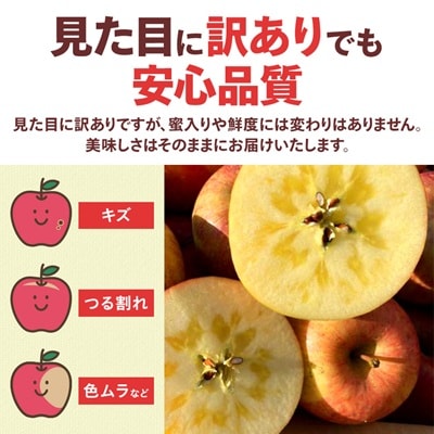 【訳あり】青森県産りんご「サンふじ家庭用」約5kg　産地直送!