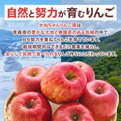 【訳あり】青森県産りんご「サンふじ家庭用」約5kg　産地直送!