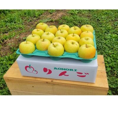 【訳あり】青森県産りんご「トキ　家庭用」約5kg　産地直送!