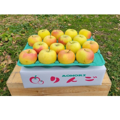 【訳あり】青森県産りんご「家庭用ぐんま名月家庭用」約5kg　産地直送!