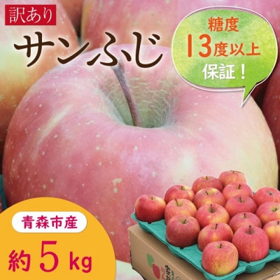 糖度13度以上サンふじ約5kg訳あり家庭用