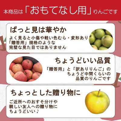 【27年4月より順次発送】平均糖度13度以上! サンふじ 約5kg おもてなし用 青森県産 クール便