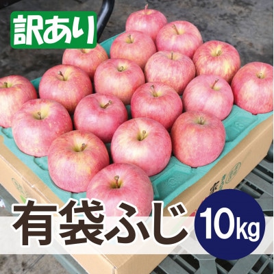 【27年4月から順次発送】平均糖度13度以上! 有袋ふじ 約10kg 訳あり CA貯蔵 クール便