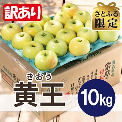 【さとふる限定】【25年8月9月出荷】平均糖度12度以上! 黄王 約10kg 訳あり  クール便