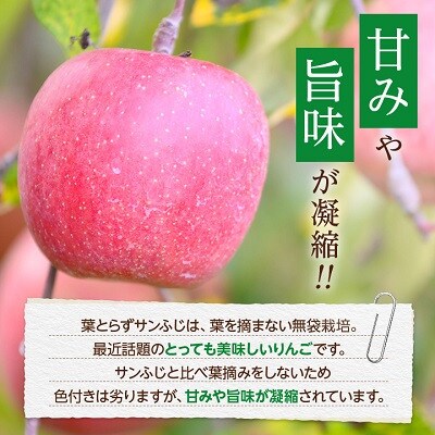 糖度15度以上!蜜入り高級 贈答用葉とらずりんご(サンふじ) 3玉(約600～800g) 化粧箱付き