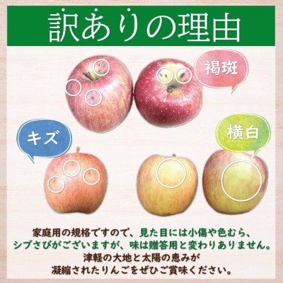 【青森市産】糖度13度以上!訳あり 家庭用りんご(シナノスイート) 約10kg