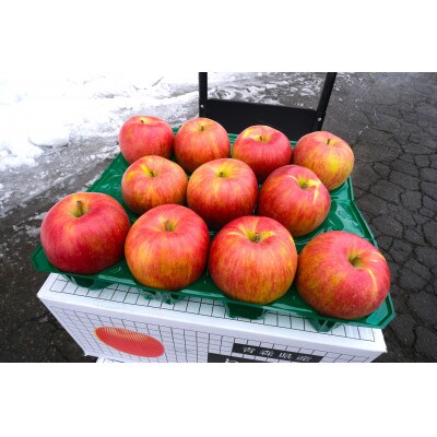 【青森市産】糖度13度以上!訳あり 家庭用りんご(シナノスイート小玉) 約5kg