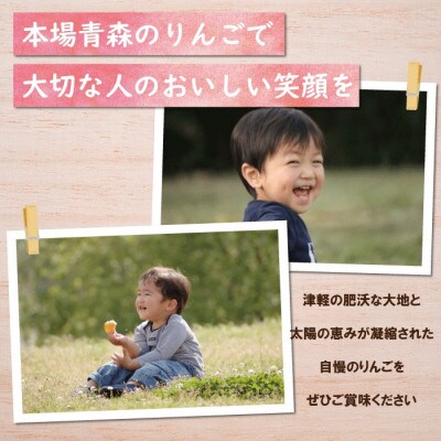 【青森市産】糖度13度以上!訳あり 家庭用りんご(シナノスイート小玉) 約5kg