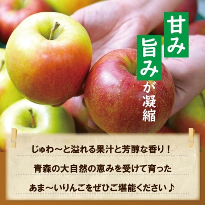 糖度13度以上!おもてなし用　名月&シナノスイート　約3kg(7～13玉)※離島・沖縄は配送不可
