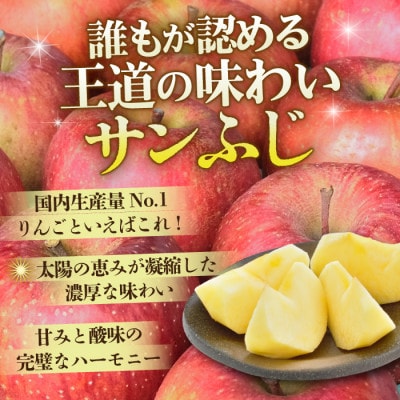 【26年11月より順次発送】平均糖度13度以上! サンふじ 約5kg 訳あり　青森県産りんご